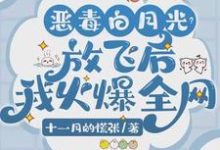 《恶毒白月光?放飞后我火爆全网》全集免费在线阅读(唐棠)-有书评