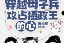 完结版《穿越母子兵，攻占摄政王的心》章节目录在线阅读-有书评