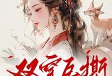 已完结小说《双穿互撕?农门弃妇她改写剧本啦》最新章节-有书评