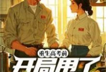 苏龙小说完整版《重生高考前，开局甩了女知青》免费阅读-有书评