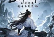小说《神雕:天命神算,我靠算卦变强》章节免费阅读-有书评