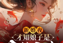 新婚夜,才知娘子是魔教圣女小说的所有章节都能在哪里免费读到?-有书评
