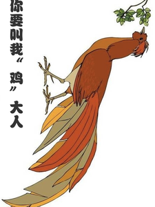 你要叫我鸡大人完整版小说，你要叫我鸡大人姬容