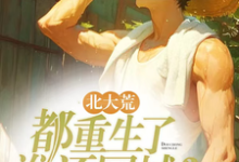 北大荒：都重生了谁还回城？（苏怀安）完整版在线免费阅读-有书评