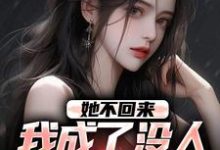 小说《她不回来,我成了没人敢惹的混混》完整版章节免费阅读-有书评