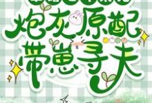 军婚七年未见,炮灰原配带崽寻夫小说最新更新在哪里?免费在线看-有书评