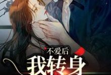 不爱后，我转身缠上霸总小说阅读，不爱后，我转身缠上霸总完结版-有书评