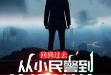 回到过去：从小民警到仕途巅峰！江城在线章节免费阅读-有书评