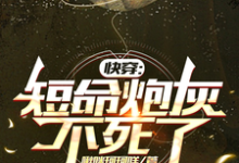 快穿:短命炮灰不死了完整版小说,快穿:短命炮灰不死了长生-有书评