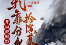 开局被赐婚,我靠分身扮演幕后小说完结了吗?在哪里可以免费读到?-有书评