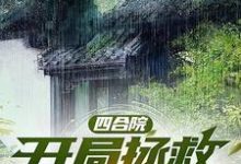 四合院：开局拯救绝美小姨子（林平安）完整版在线免费阅读-有书评