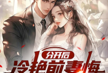 寻找能够免费阅读分开后,冷艳前妻悔哭求复合小说的平台-有书评