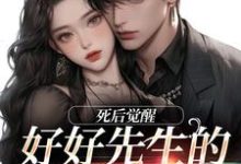 免费看好好先生的真实面目小说的网站有哪些？-有书评