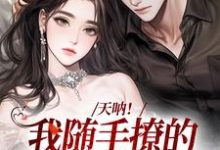天呐!我随手撩的男友有大身份这本小说怎么样?免费在线阅读试试-有书评