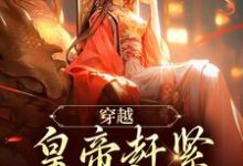 《穿越：皇帝赶紧给我打江山》完整版小说免费阅读-有书评