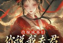 改嫁成寡妇，你说我夫君又复活了？小说全文哪里可以免费看？-有书评