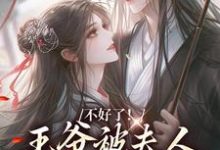 不好了！王爷被夫人驯成恋爱脑了章节免费在线阅读，叶流西完结版-有书评