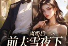离婚后，前夫雪夜下跪求回头这本小说怎么样？免费在线阅读试试-有书评