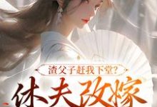 小说完整版《渣父子赶我下堂?休夫改嫁你跪啥》免费阅读-有书评