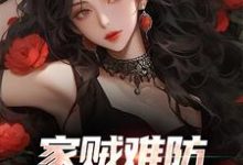 《家贼难防:老婆是个扶弟魔》小说章节在线试读,《家贼难防:老婆是个扶弟魔》最新章节目录-有书评