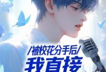 《被校花分手后,我直接演唱会封神》小说苏灿章节章节免费在线阅读-有书评