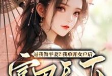 求推荐可以免费阅读逼我做平妻?我单开女户后富甲天下小说的网站-有书评