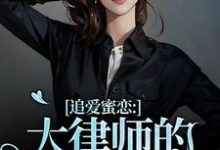 追爱蜜恋:大律师的惹火宝贝小说有没有完整的免费版本在线阅读?-有书评