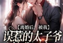 哪里能找到离婚后，被我误惹的太子爷接我回家小说的全部章节？-有书评