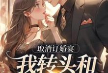 完结版《取消订婚宴,我转头和别人领证》在线免费阅读-有书评