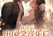 我决定出国学音乐后,大律师后悔了章节免费在线阅读,宋棉贺淮川完结版-有书评