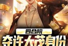许俊小说四合院：夺许大茂身份，我成大好人完整版阅读-有书评