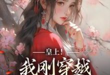 皇上!我刚穿越,真不想玩宫斗乔乔,皇上!我刚穿越,真不想玩宫斗完整版最新章节-有书评