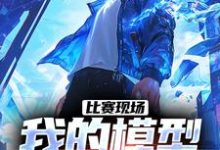 在线免费阅读比赛现场，我的模型吓呆鹰酱完整小说-有书评