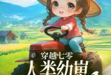 姜景小说免费阅读完整版-有书评