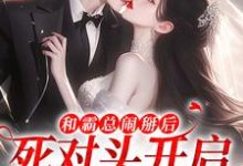 和霸总闹掰后，死对头开启追我模式小说的无弹窗阅读体验，寻找免费阅读网站-有书评