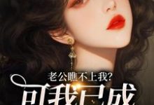 完整版《老公瞧不上我?可我已成科技大佬!》小说免费阅读-有书评