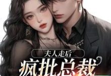 夫人走后,疯批总裁寻遍全世界(苏妍顾焕之)完整版在线免费阅读-有书评