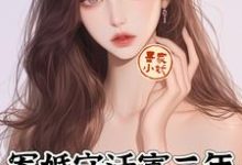 军婚守活寡三年，小军嫂带崽离婚免费阅读，军婚守活寡三年，小军嫂带崽离婚章节目录-有书评