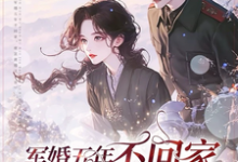 军婚五年不回家，带崽离婚又不肯苏清皖，军婚五年不回家，带崽离婚又不肯完整版最新章节-有书评