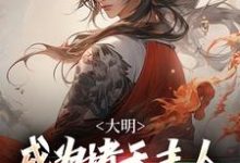 完结版《大明：成为诸天主人，我原地成仙！》免费阅读-有书评
