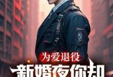 苏瑾陆战小说为爱退役，新婚夜你却奔向白月光在线阅读章节-有书评
