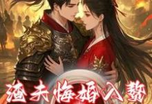 渣夫悔婚入赘,我反手娶了大将军小说全文阅读需要付费吗?寻找免费资源-有书评