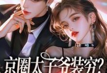 京圈太子爷装穷？我离婚了完整版小说，京圈太子爷装穷？我离婚了最新章节-有书评