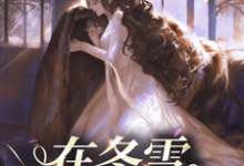 沈青檀薄衿小说完整版《在冬雪之季》免费阅读-有书评