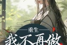 《重生：我不再做家族炮灰》楼月完整版小说免费阅读-有书评