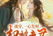 魂穿,一心发财,却被夫君宠成宝小说的无弹窗阅读体验,寻找免费阅读网站-有书评