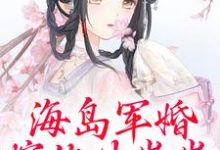 沈竹一小说海岛军婚：嫁他生崽崽章节免费阅读-有书评