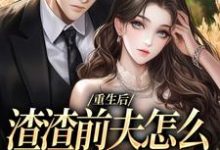 重生后，渣渣前夫怎么不鬼混了小说有没有完结版在线？-有书评