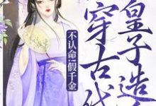 不认命!假千金她穿古代劝皇子造反陈音小说完结版章节在线阅读-有书评