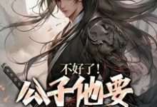 蓝武朱元璋小说不好了!公子他要挑战皇权完整版阅读-有书评
